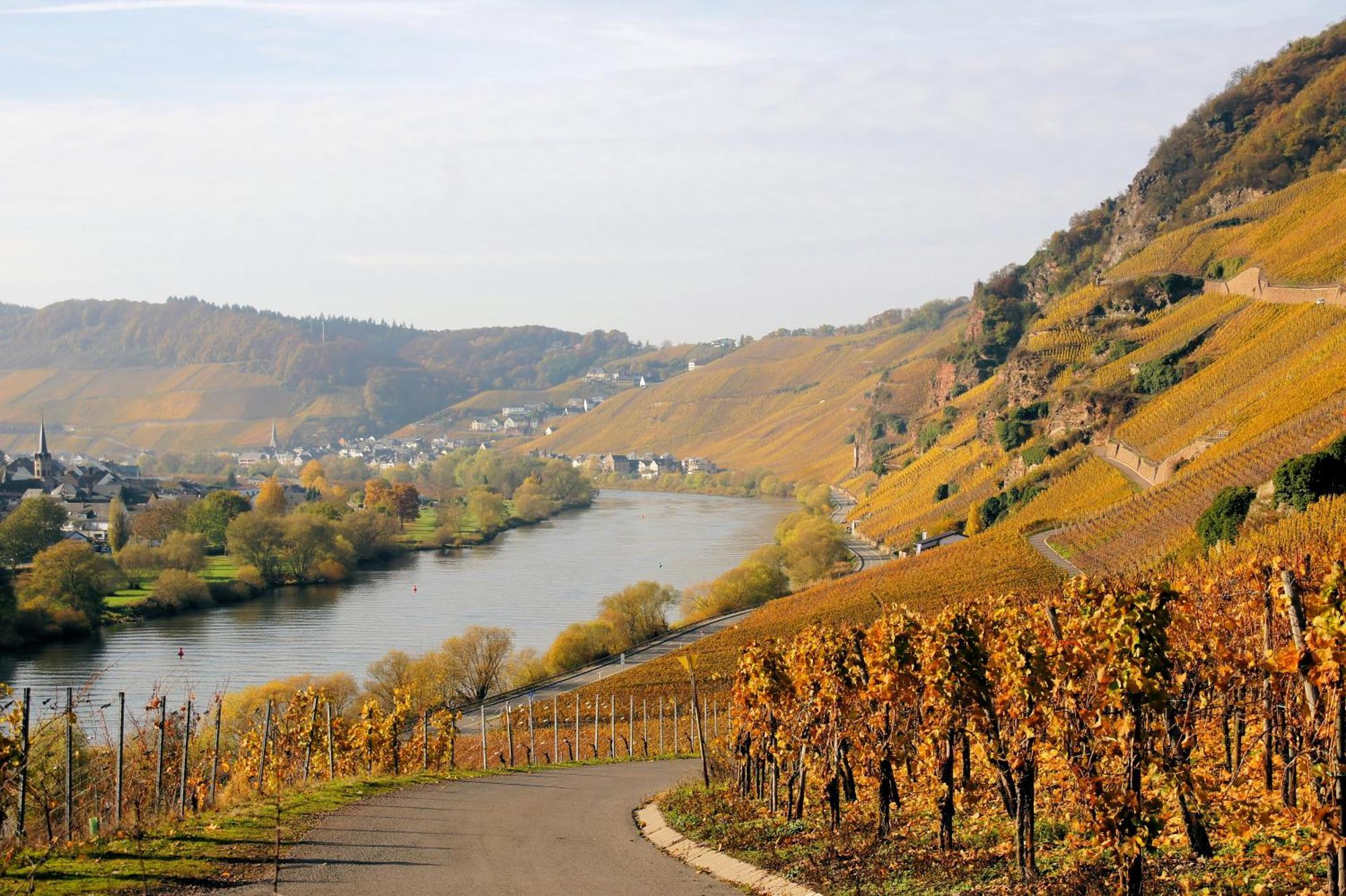 Weingut / Gaestehaus Gerlach Ürzig Kültér fotó