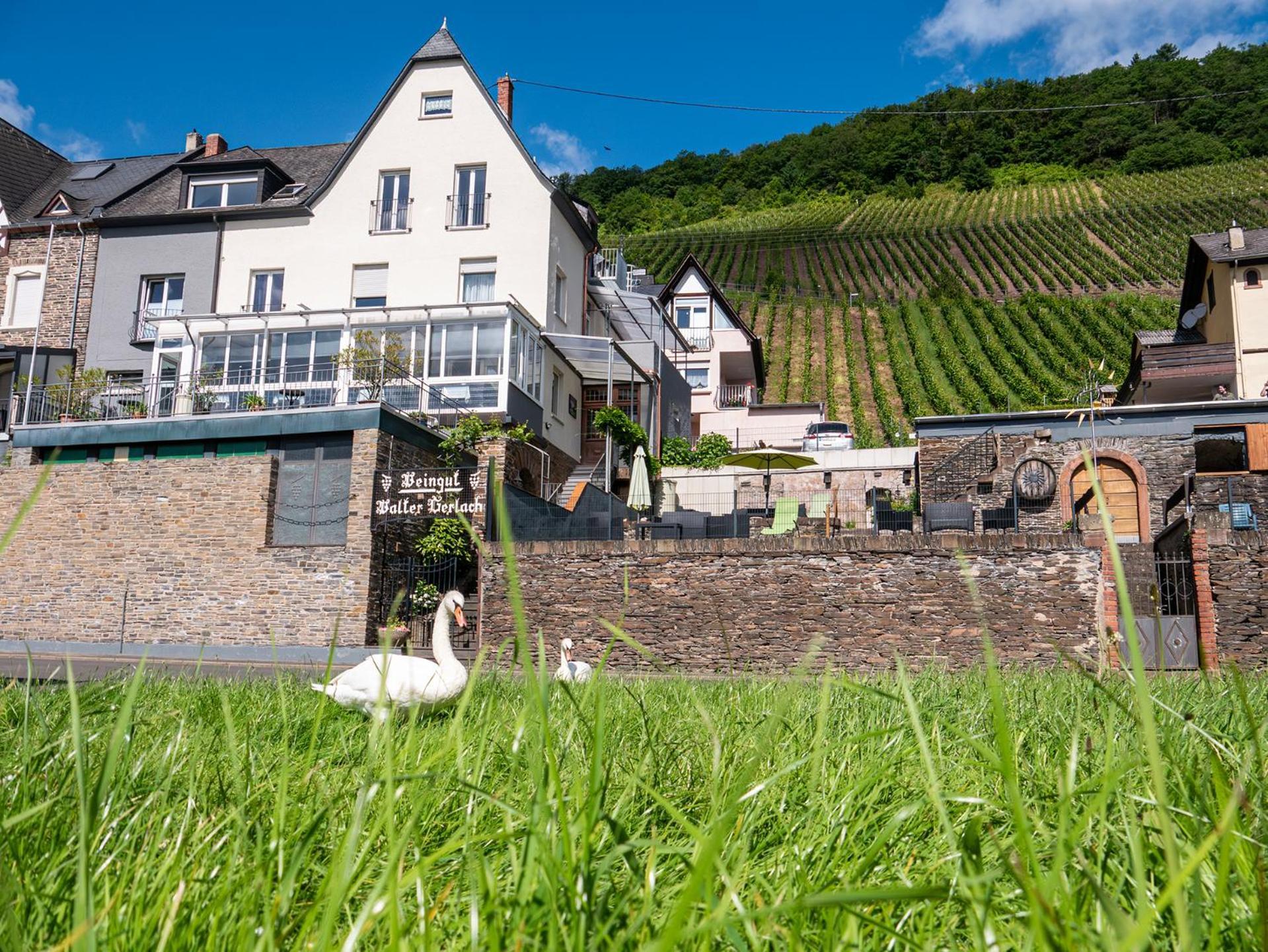 Weingut / Gaestehaus Gerlach Ürzig Kültér fotó