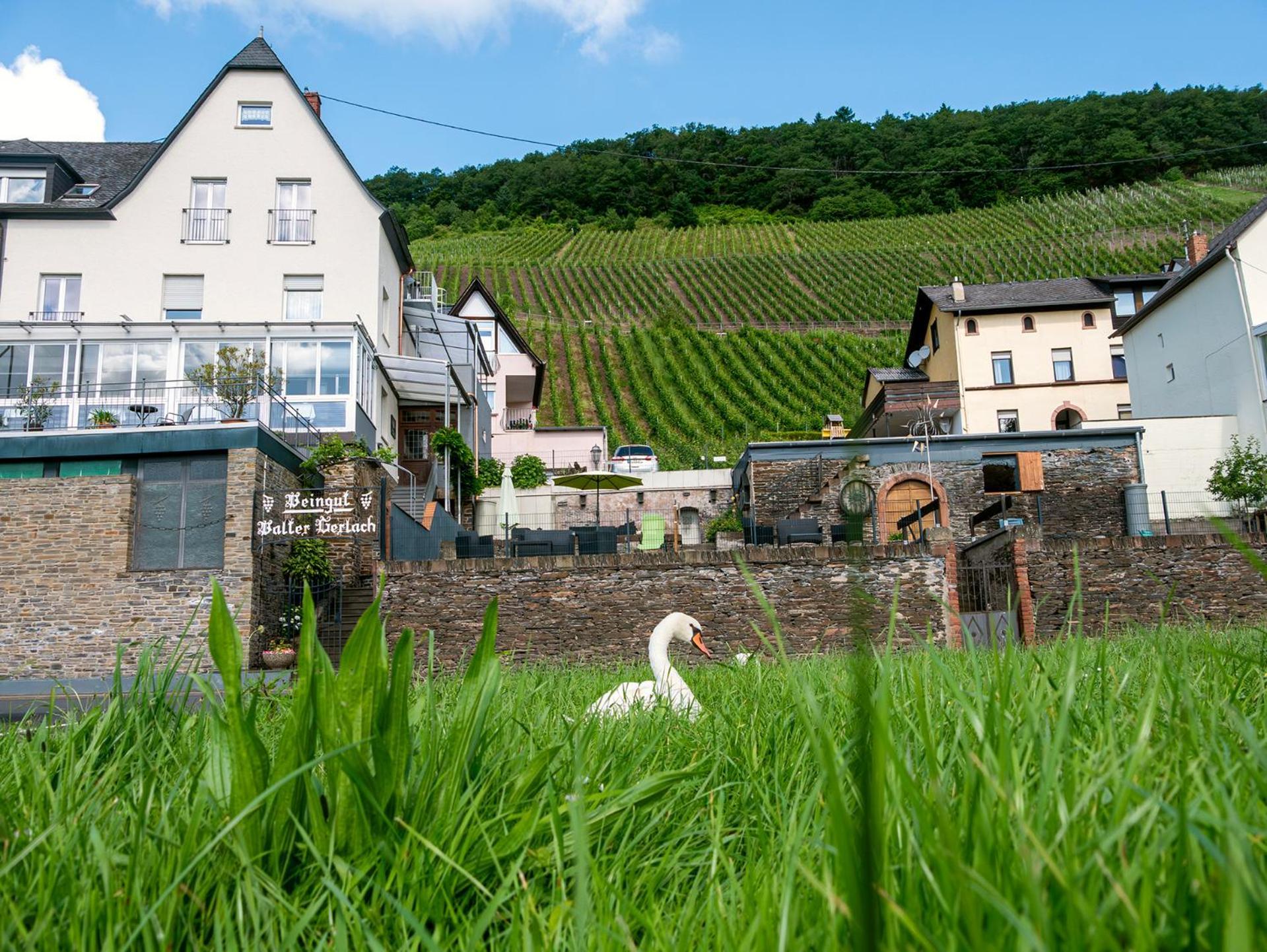 Weingut / Gaestehaus Gerlach Ürzig Kültér fotó