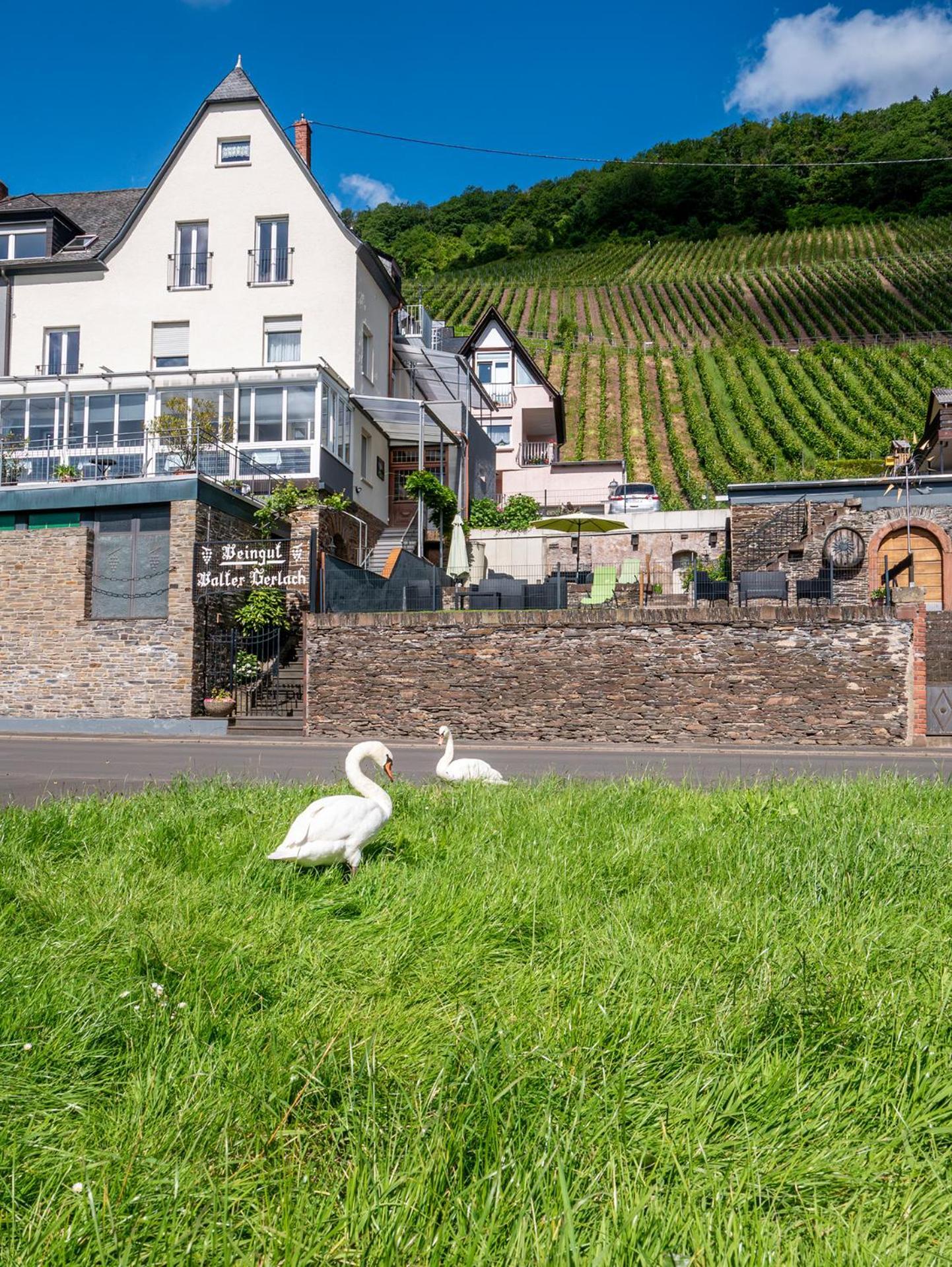 Weingut / Gaestehaus Gerlach Ürzig Kültér fotó